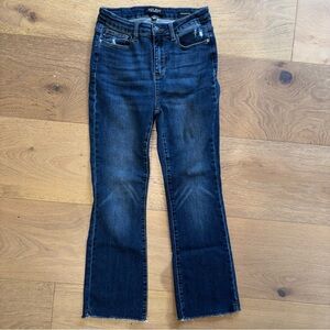 Judy Blue Deep Blue Flare Jeans